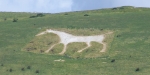 Alton white horse