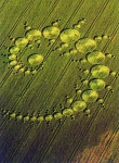 Crop circle