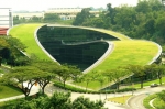 Grass roof