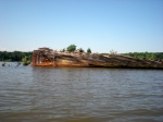 Green ships ?
