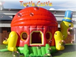 Turtle castle