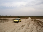 Dune against road