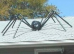 Giant spider on the roof