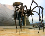Giant spider in Spain