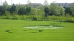 Italian Crop circle