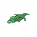 Giant aligator in garden
