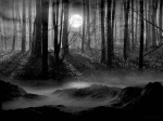 Dark zone