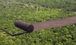 Window on deforestation