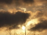 Vanilla cloud