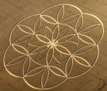 Indian Arrow crop circle