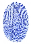 Men's fingerprint
