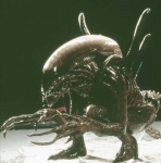 Alien