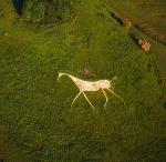Hackpen White Horse