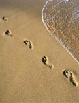 Sand curve