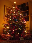 Christmas trees