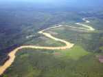 Deforestation in Malaisia