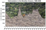 Deforestation in Brasil