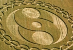 Crop cicle 880