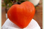 Heart personnal pool