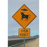 Alien sign