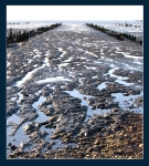 River in sea