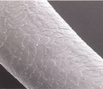 Microscopic hair