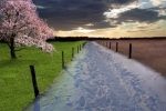 Summer winter